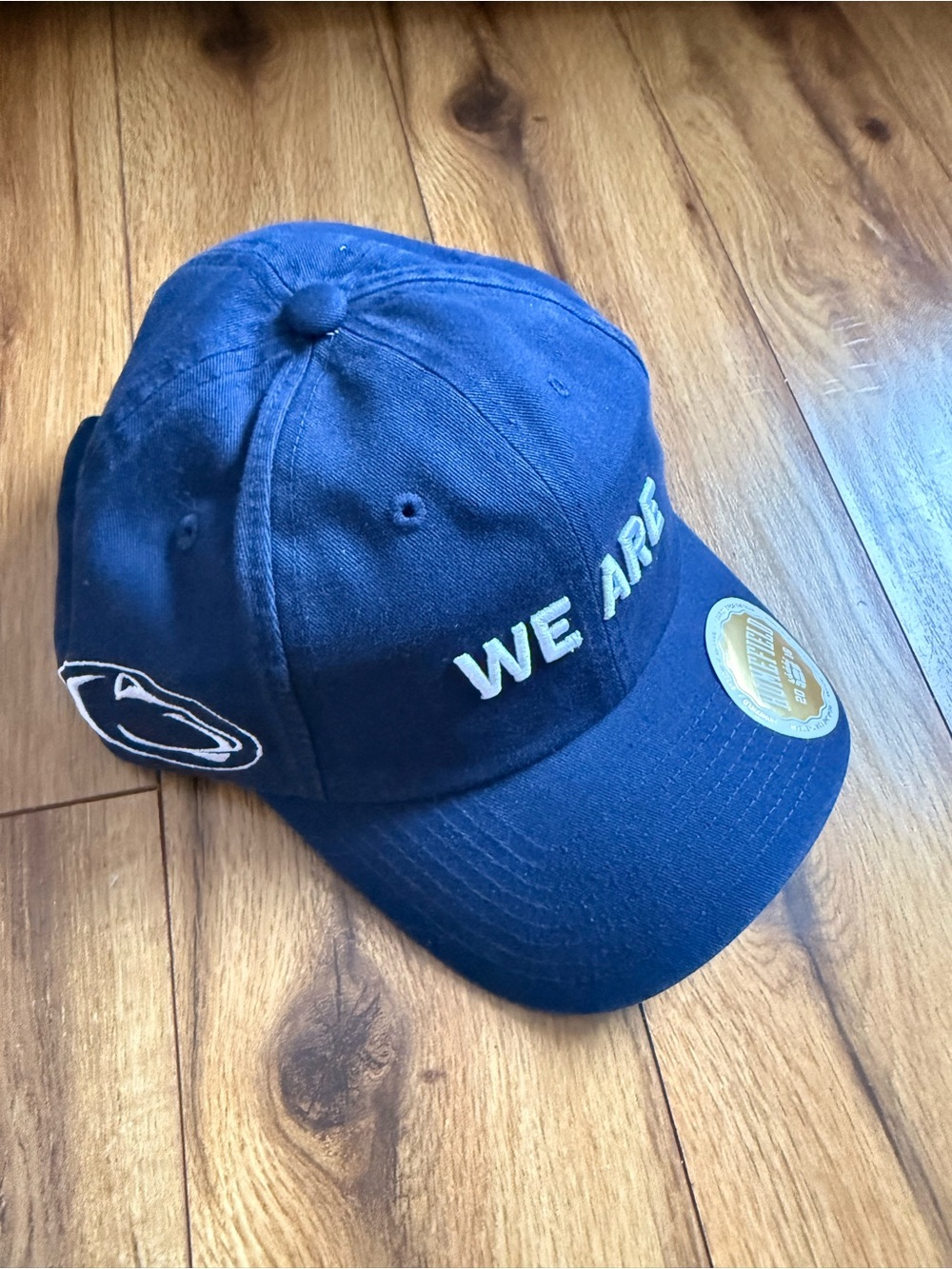 NEW We Are Penn State Baseball Hat

Pennsylvania State University
Penn State Uni